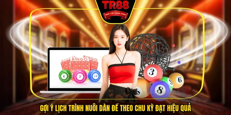 Gợi ý lịch trình nuôi dàn đề theo chu kỳ đạt hiệu quả